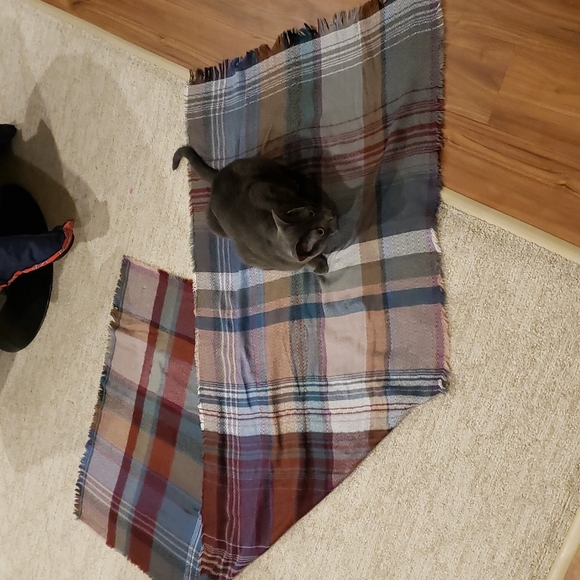 Over sized scarf/wrap - Picture 1 of 4